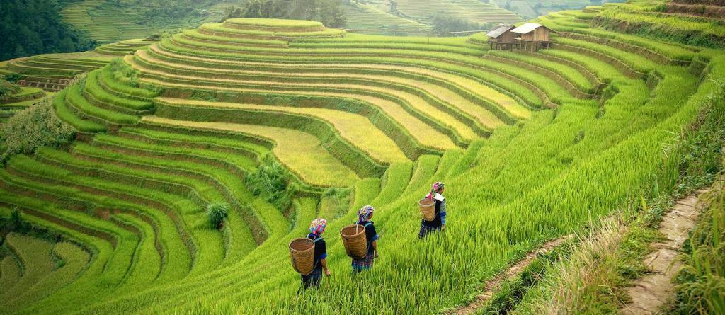 Vacation to Vietnam from Corley Group