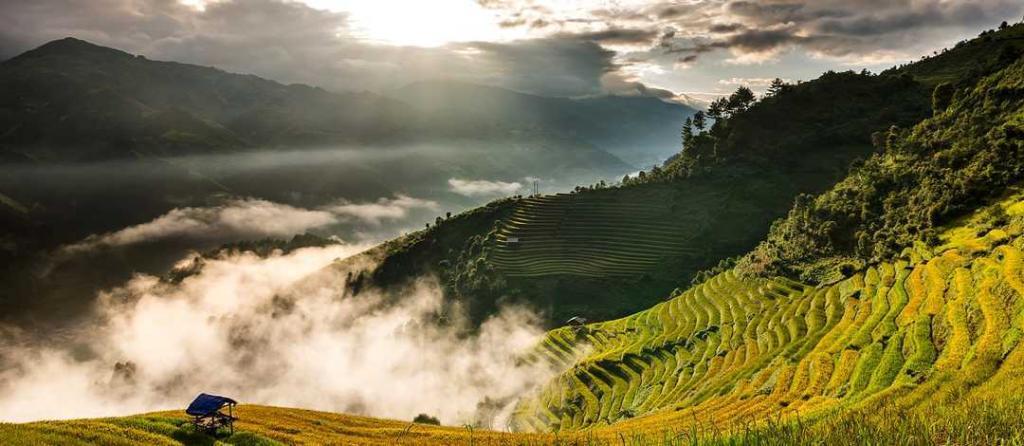 Vacation to Vietnam from Corley Group