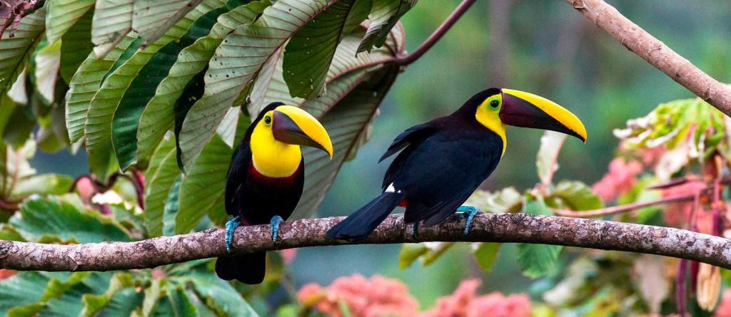 costarica3