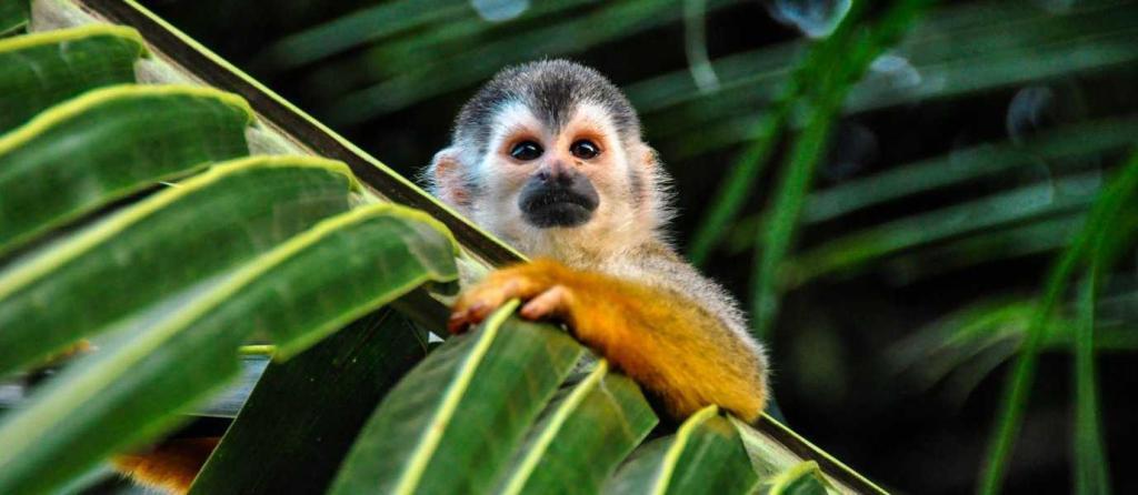 costarica7