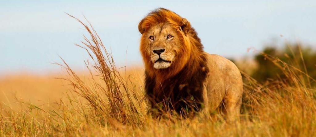 kenya12