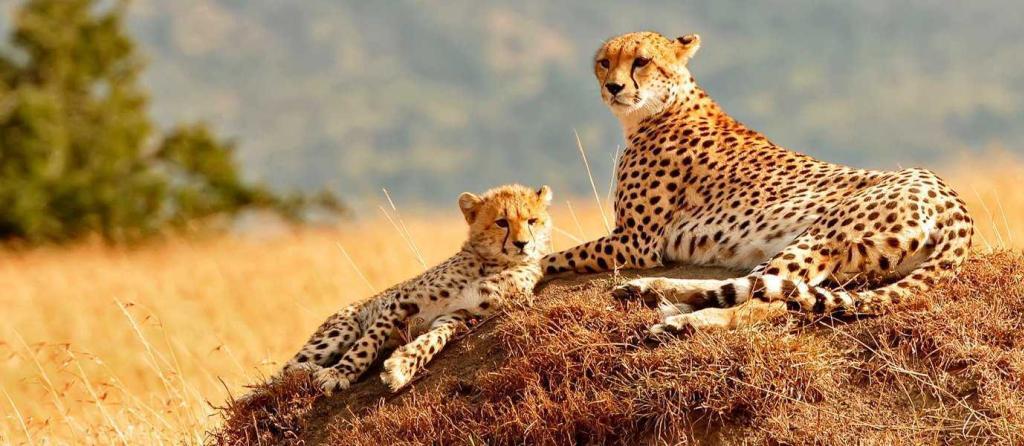 kenya16