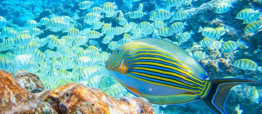 maldives2
