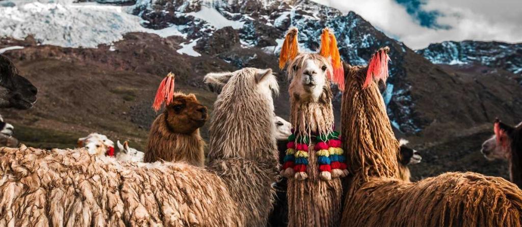 peru9